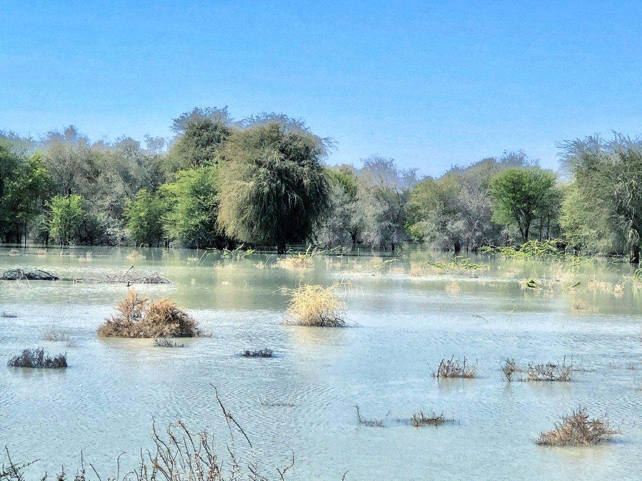 سیل دشتیاری
