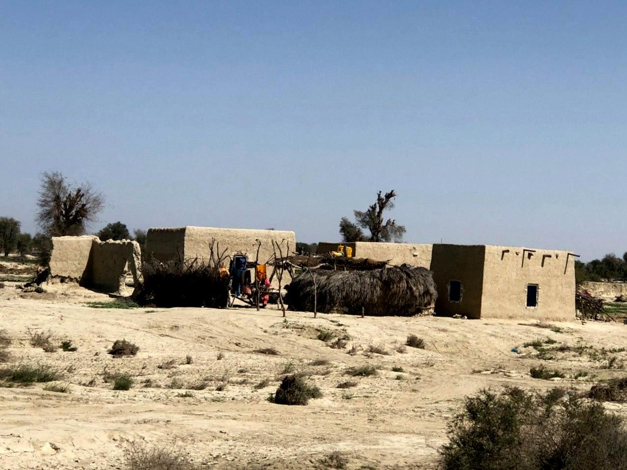 سیل دشتیاری