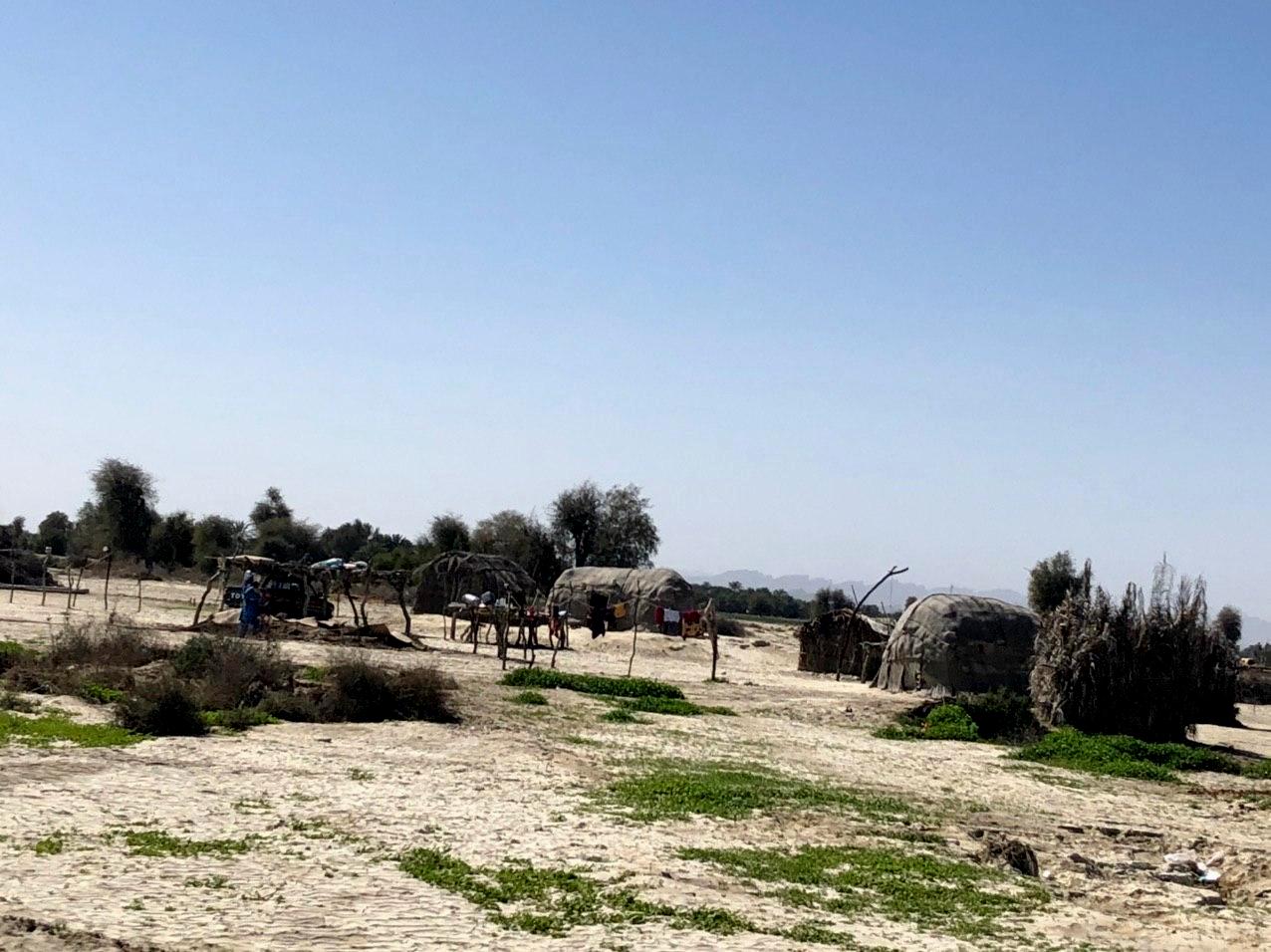 سیل دشتیاری