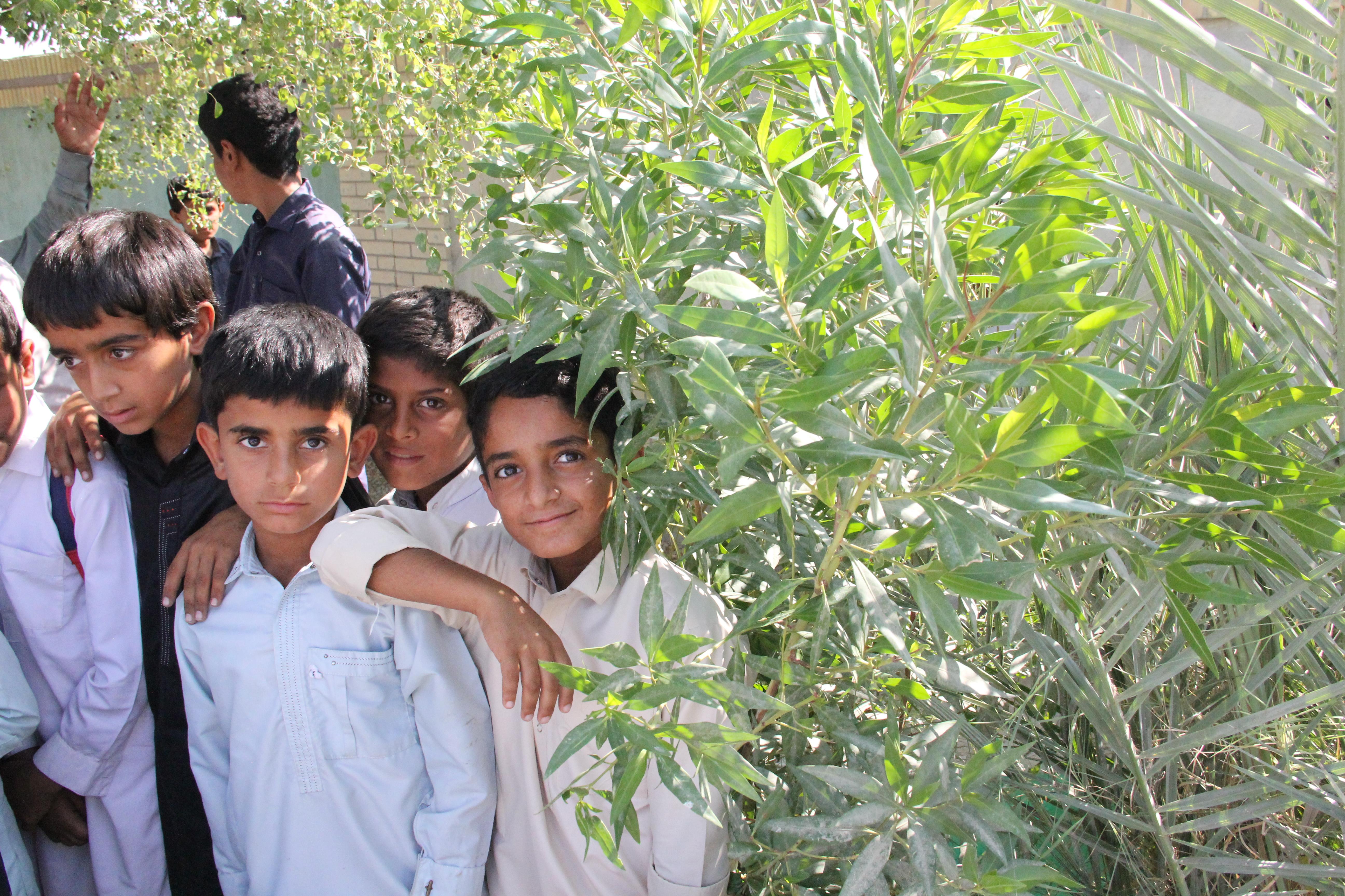 کتابخانه ولی محمد