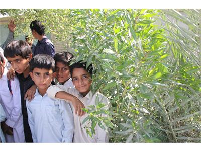 کتابخانه ولی محمد