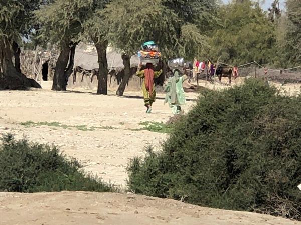 تحقیق و بررسی از سی روستای سیل زده منطقه دشتیاری استان سیستان و بلوچستان